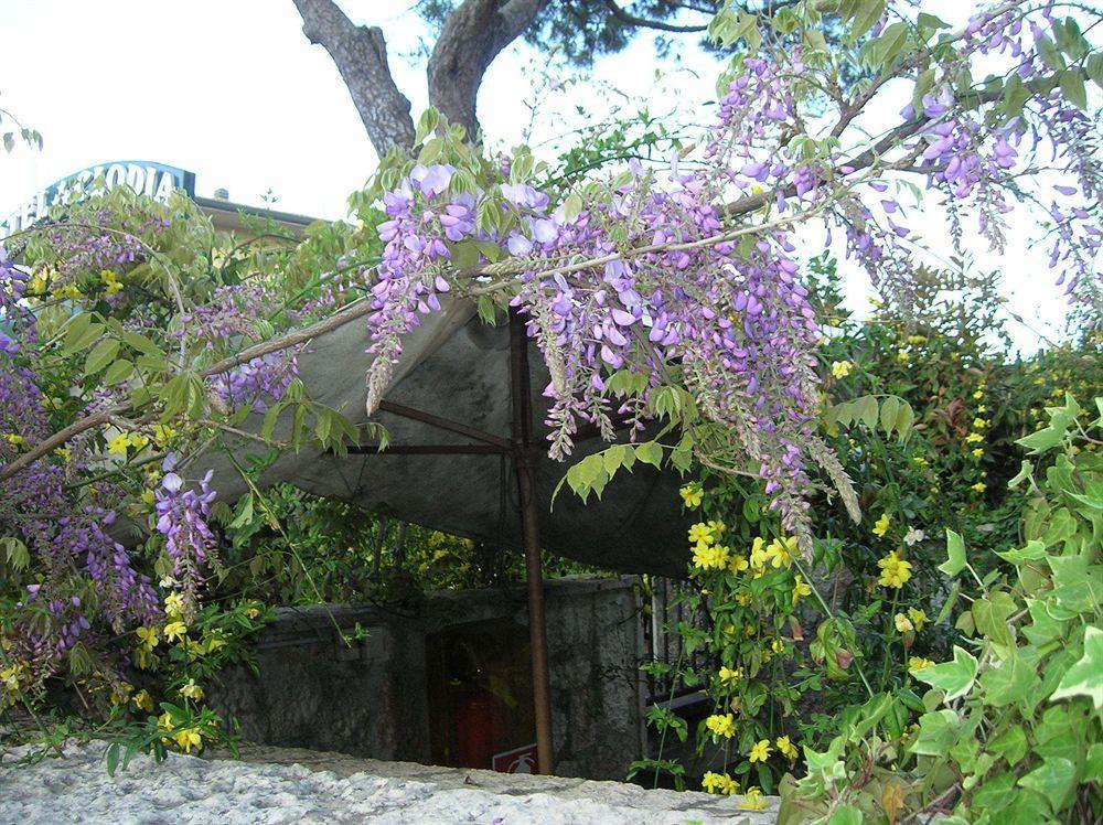 Hotel Pagoda Sirmione